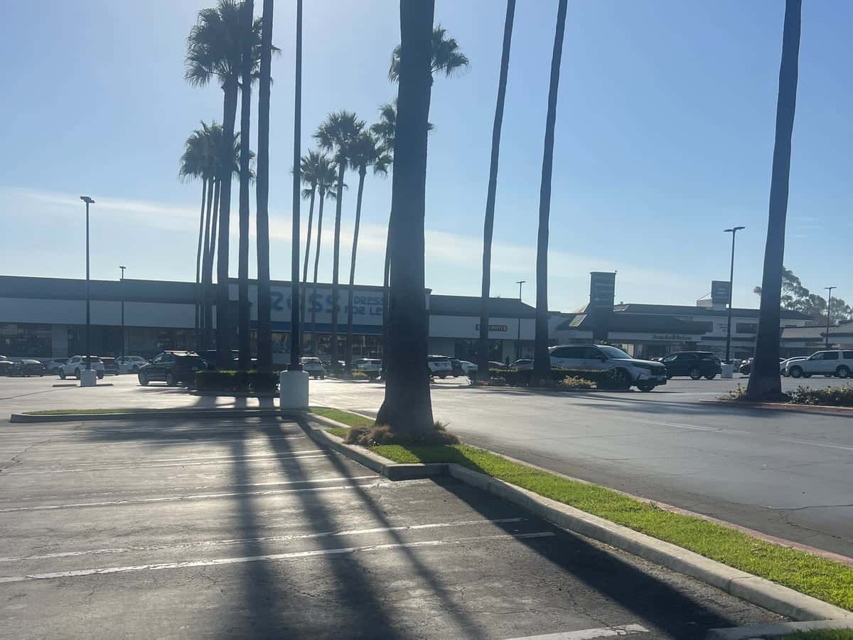 Palm-lined parking lot and storefronts of a Southern California shopping center maintained by Guardian